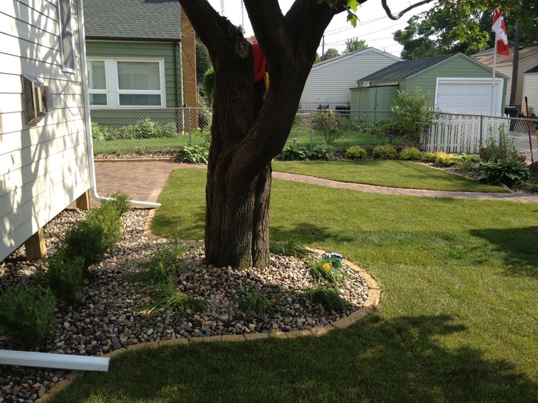 An idillic transformation around the tree and yard