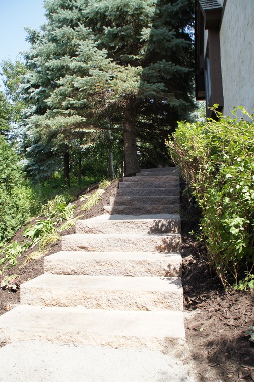 Backyard Access Steps