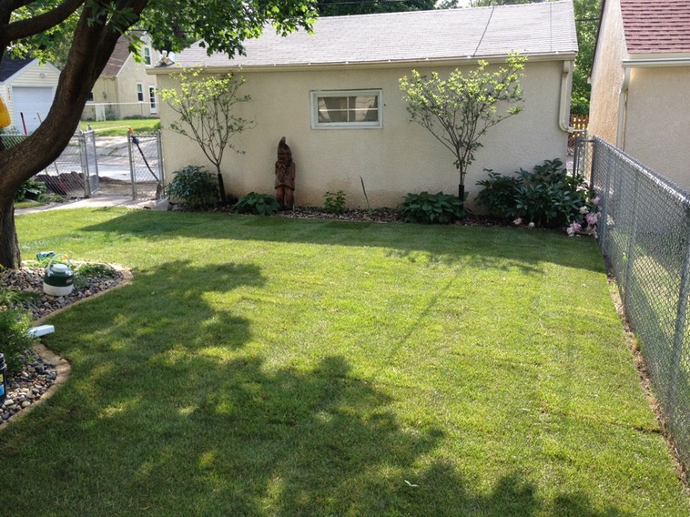 Yard on north side of house